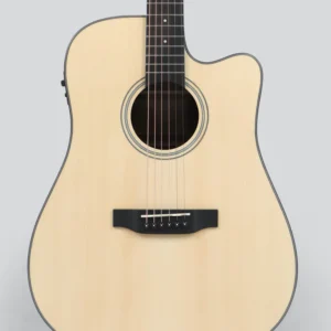 Phoebus PG-30ce V3 Dreadnought (3rd Gen.) Acoustic-Electric Guitar w/ Gig Bag